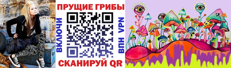 Галлюциногенные грибы MAGIC MUSHROOMS  как найти закладки  shop формула  Лермонтов 